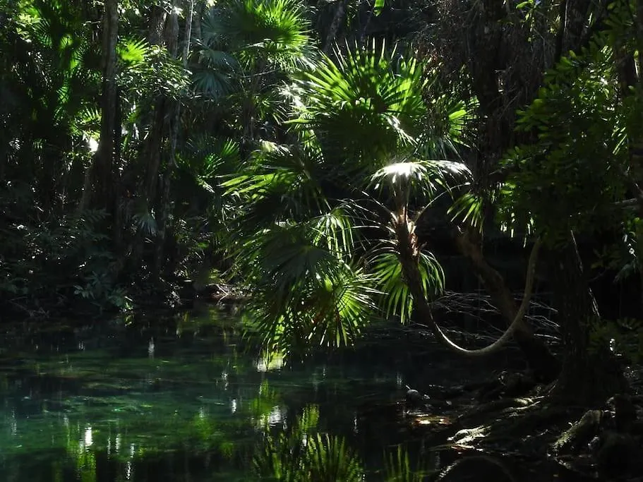 Condo Yalku - Private Access To Lagoon Tulum